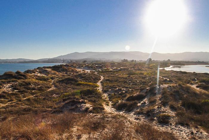 דירות אלגסירס Estudio A Pie De Playa Con Bano Y Cocina Privados מראה חיצוני תמונה